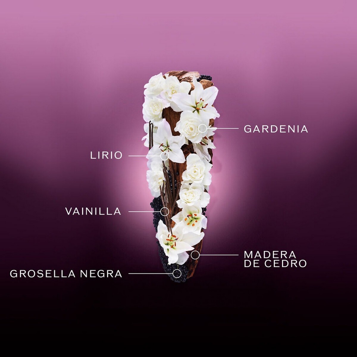 Ginza Night Eau de Parfum Intense 2