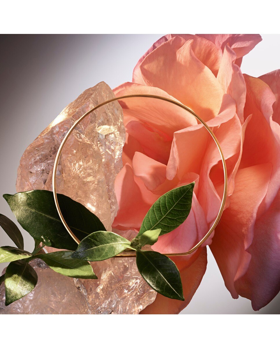 Le Parfum Absolue Les Parfums Eau de Parfum 3