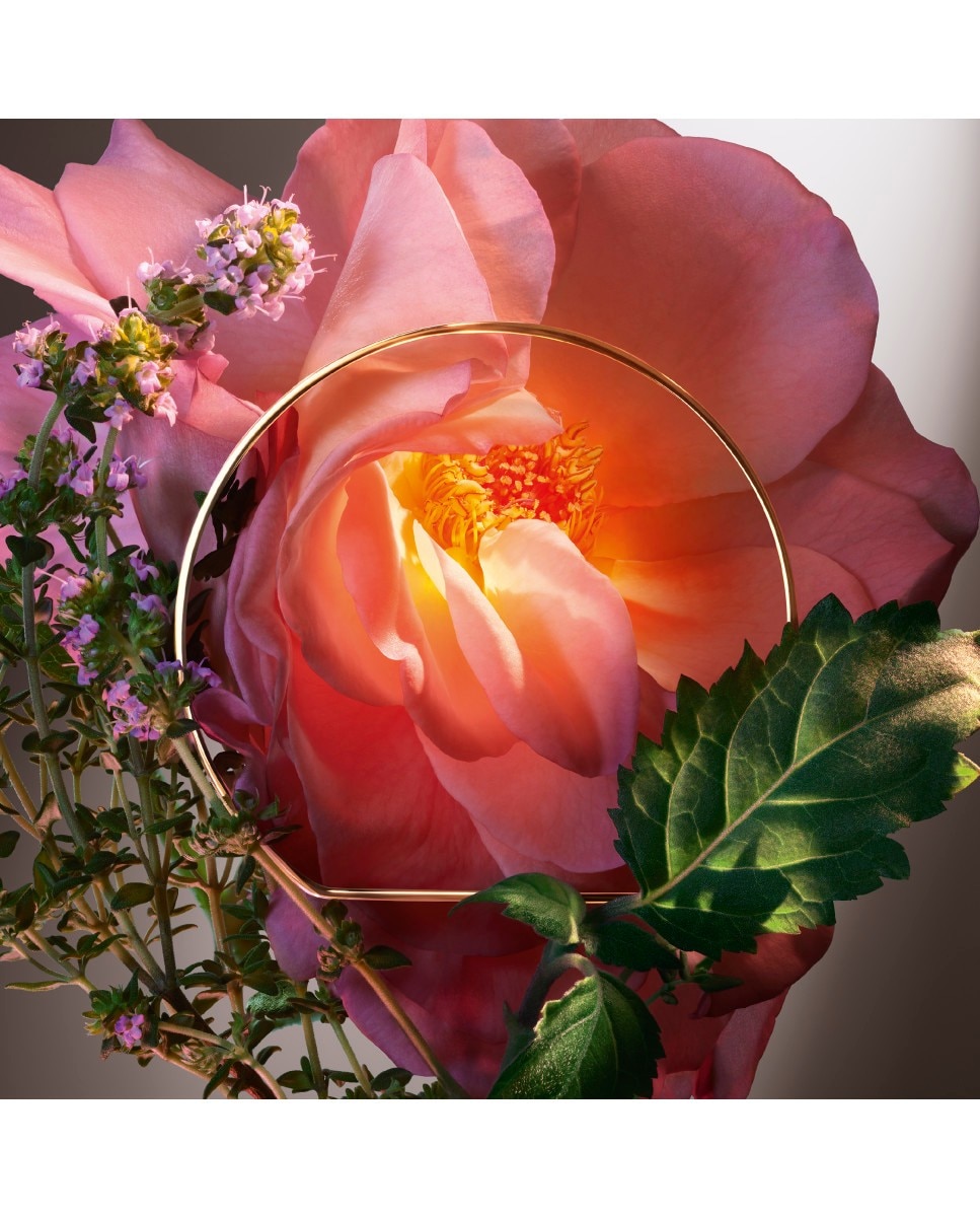 Hot As Rose Absolue Les Parfums Eau de Parfum 3