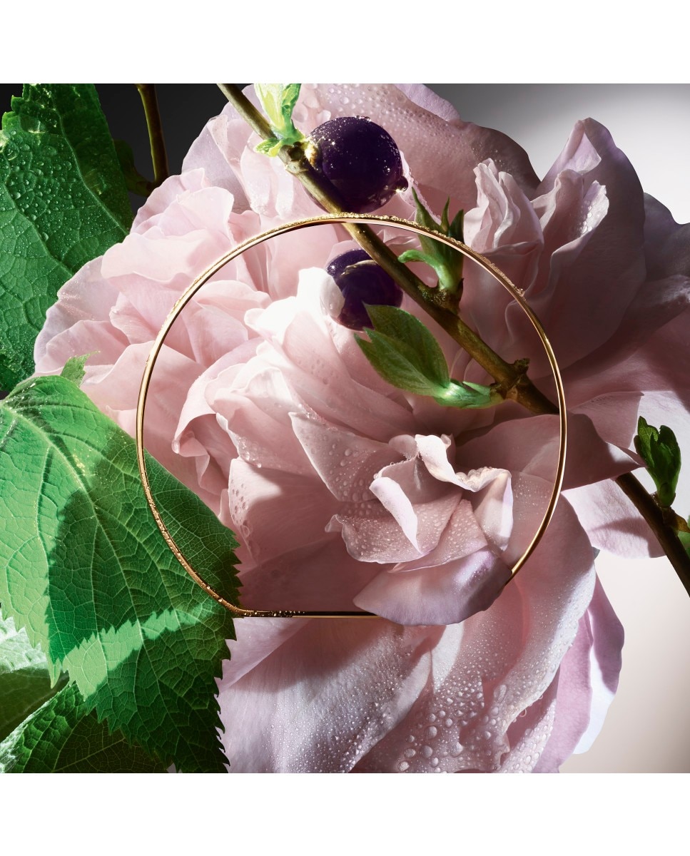 Storm & Roses Absolue Les Parfums Eau de Parfum 3
