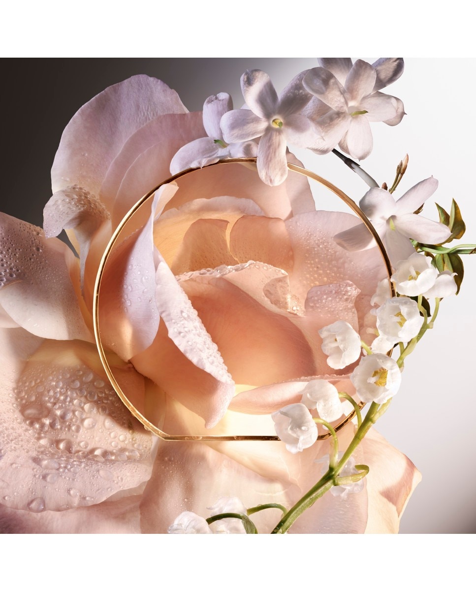 Rose Absolue Les Parfums Eau de Parfum 3
