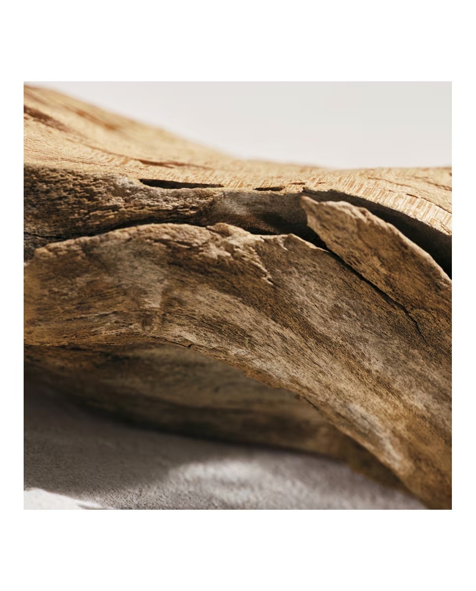 L'Eau de Parfum Intense 6