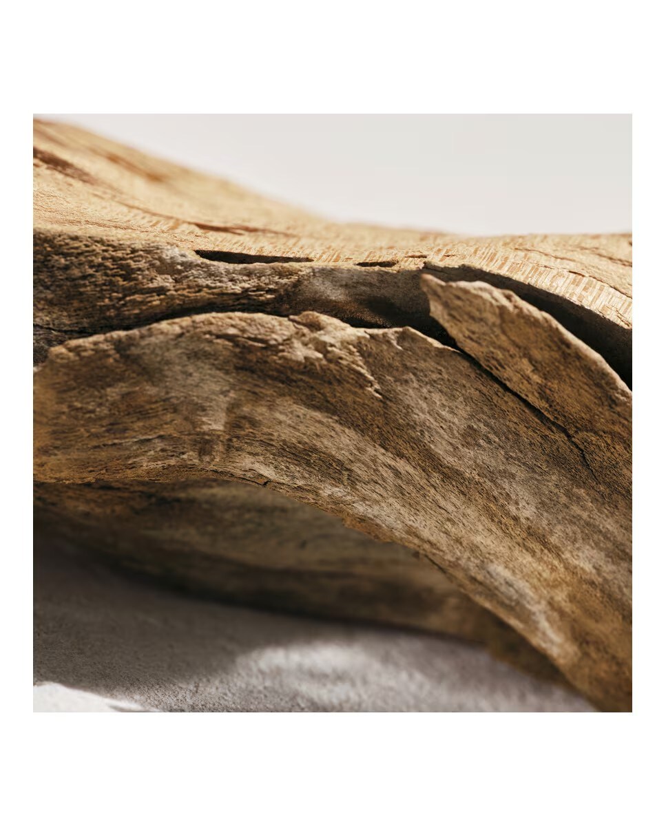 Recarga L'Eau de Parfum Intense 6