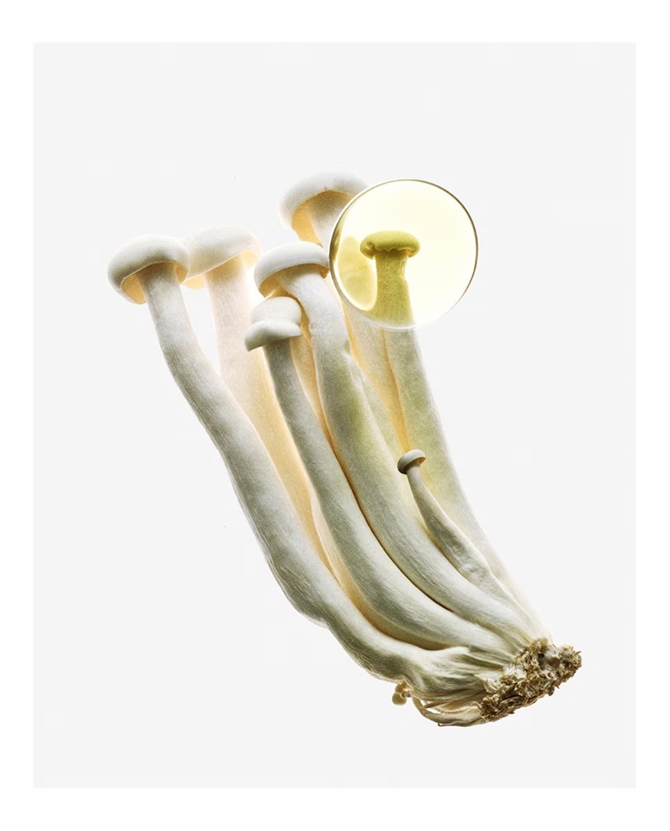 Eau de Parfum Earth Elixir 3