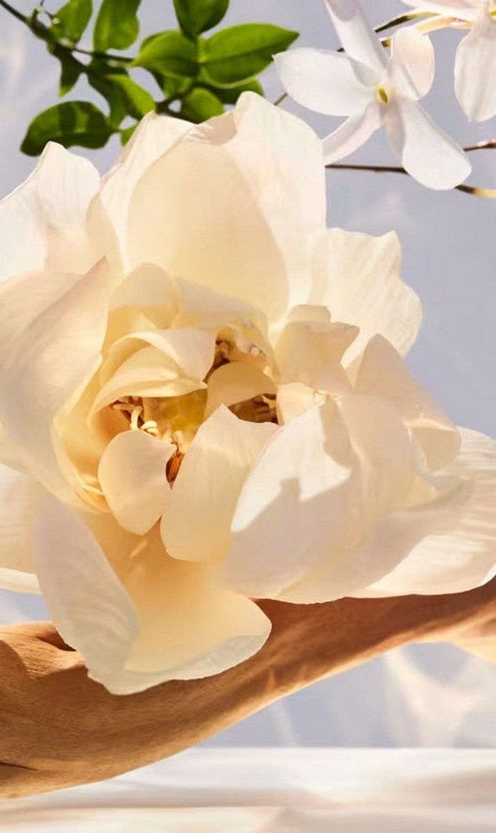 Omnia Crystalline Eau de Parfum 3