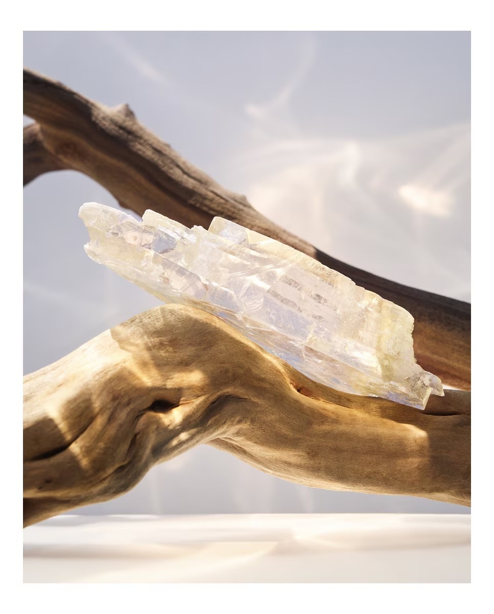 Omnia Crystalline Eau de Parfum 6
