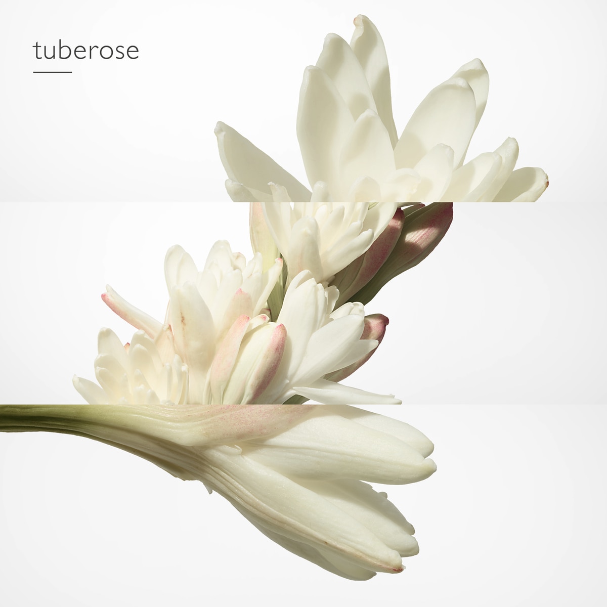 Sabonete Perfumado Twilly d'Hermès 4