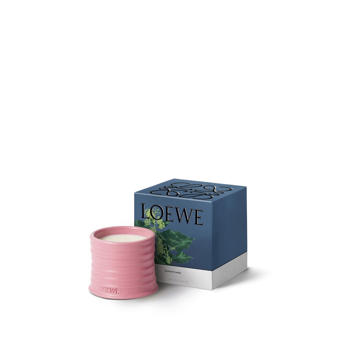 Vela Aromática Home Scents Ivy M 2