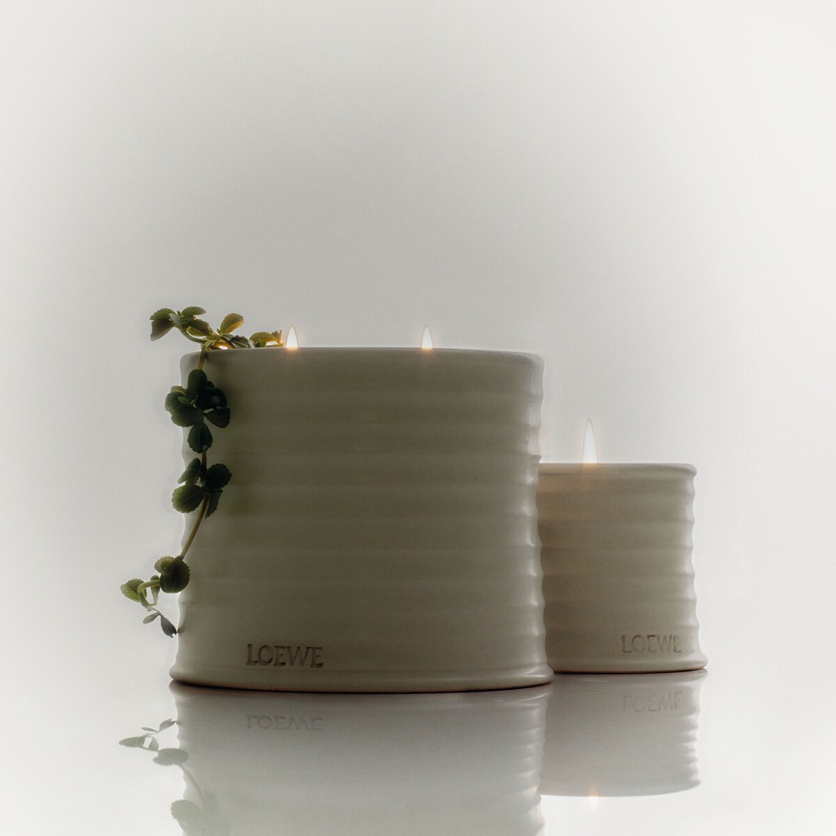 Vela Aromática Home Scents Oregano M 5