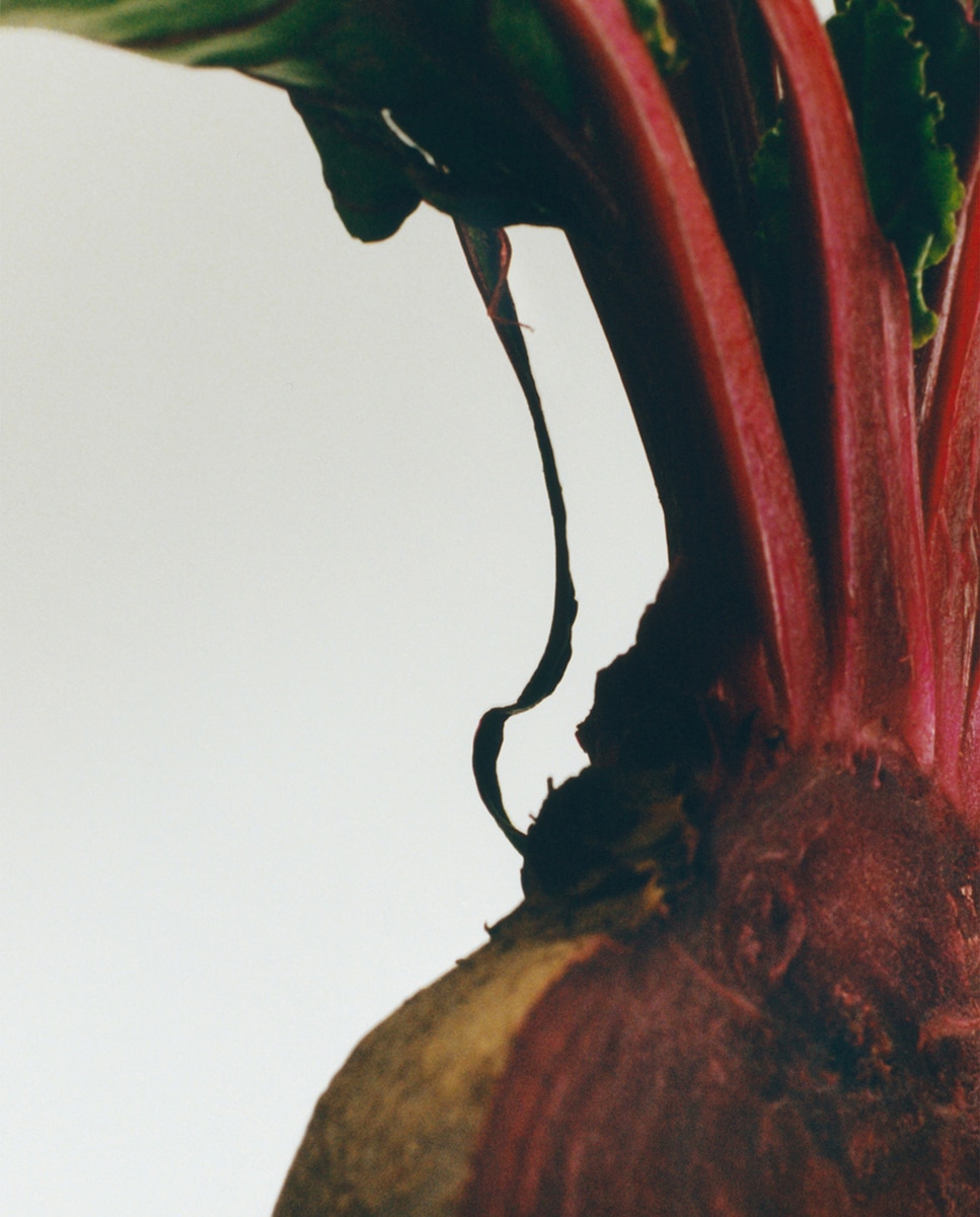 Castiçal de Cera Beetroot Home Scents 3