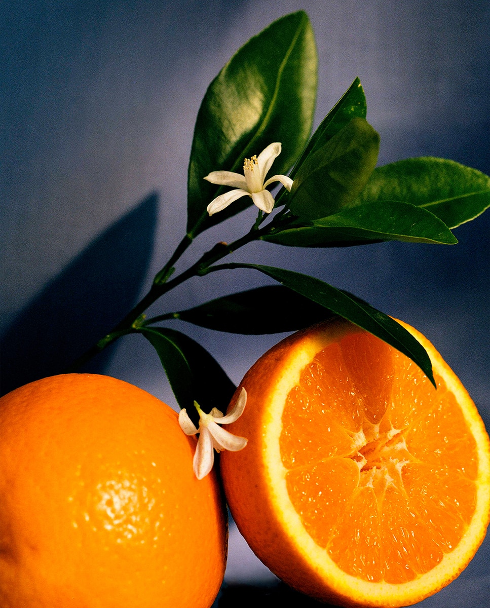 Castiçal de Cera Wax Candleholder Orange Blossom 3
