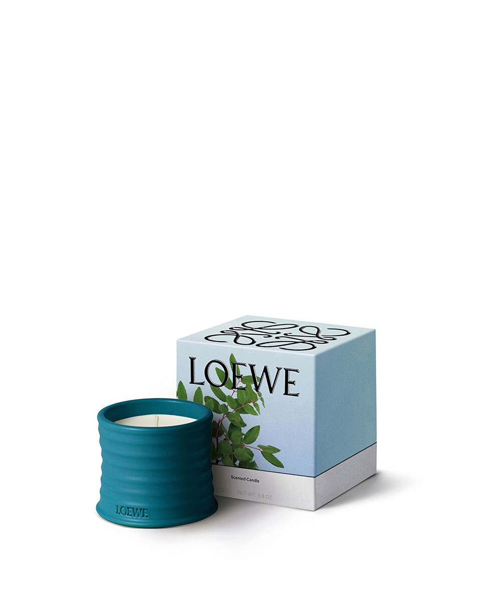 Vela Aromática Home Scents Incense 2