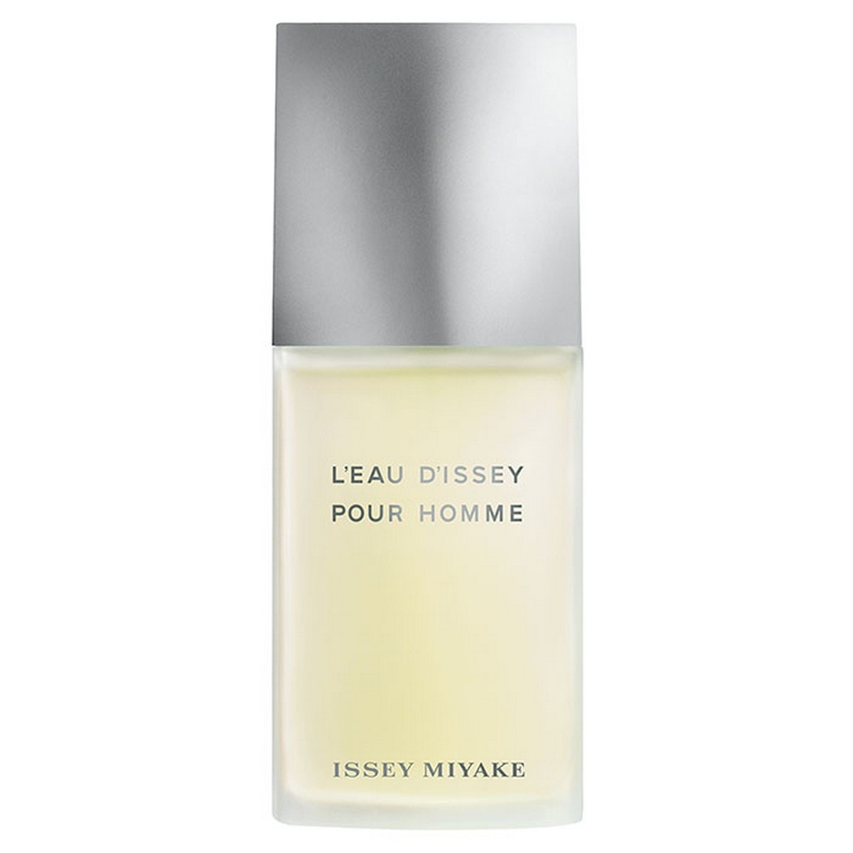 Imagem 0 de Eau de Toilette L'Eau d'Issey Pour Homme 125 ml Issey Miyake