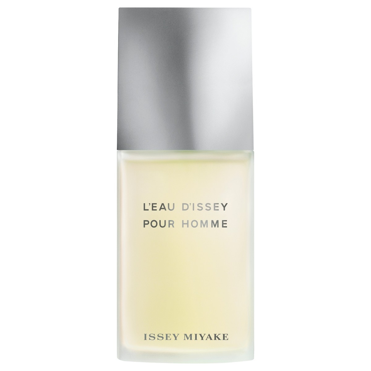 Imagem 0 de Eau de Toilette L'Eau d'Issey Pour Homme 200 ml Issey Miyake