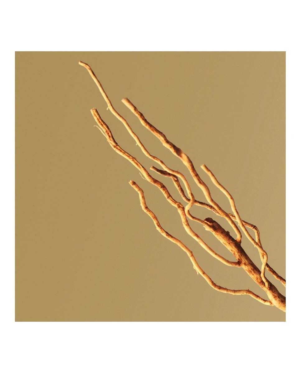 Boss Bottled Eau de Parfum - 50 ml 3