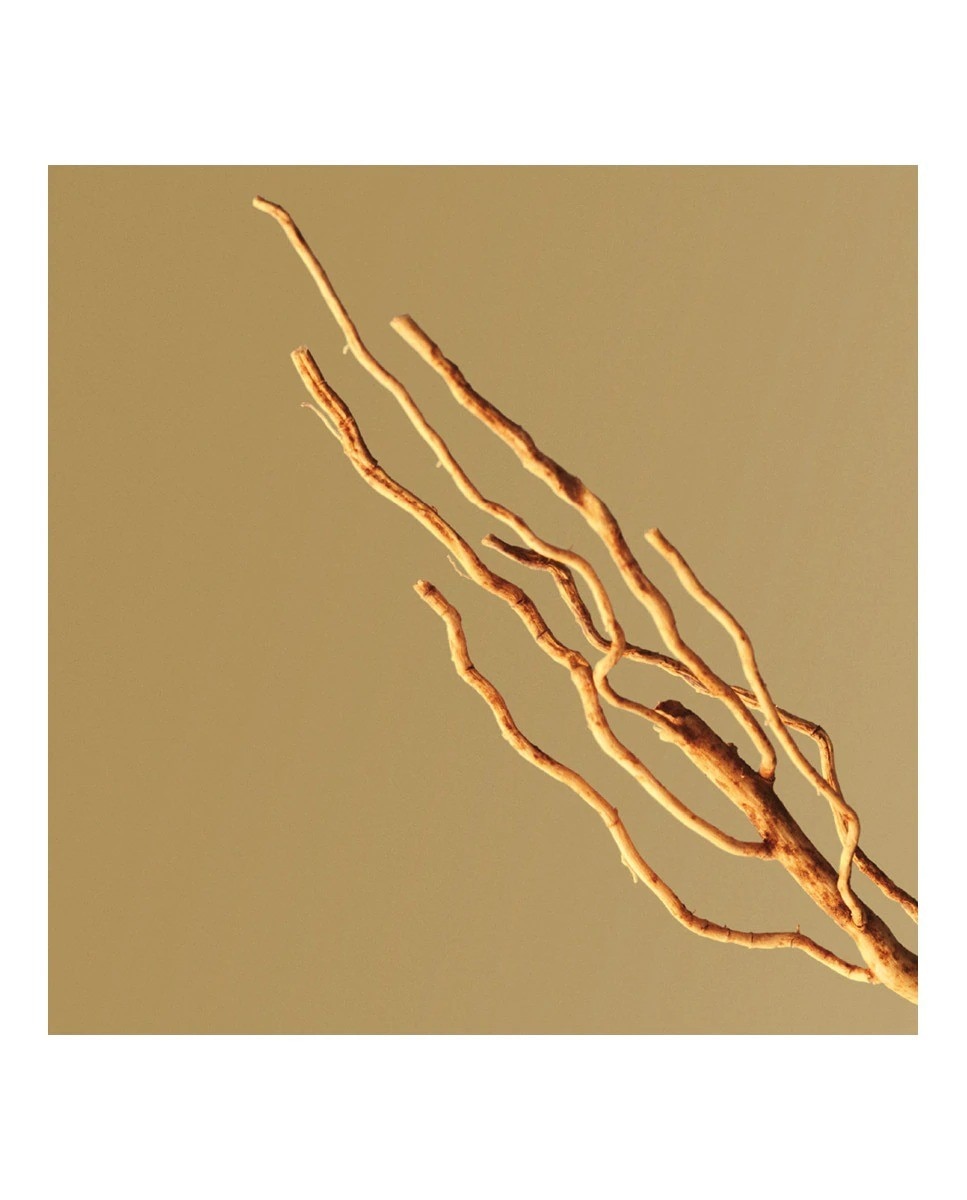 Boss Bottled Eau de Parfum - 200 ml 3