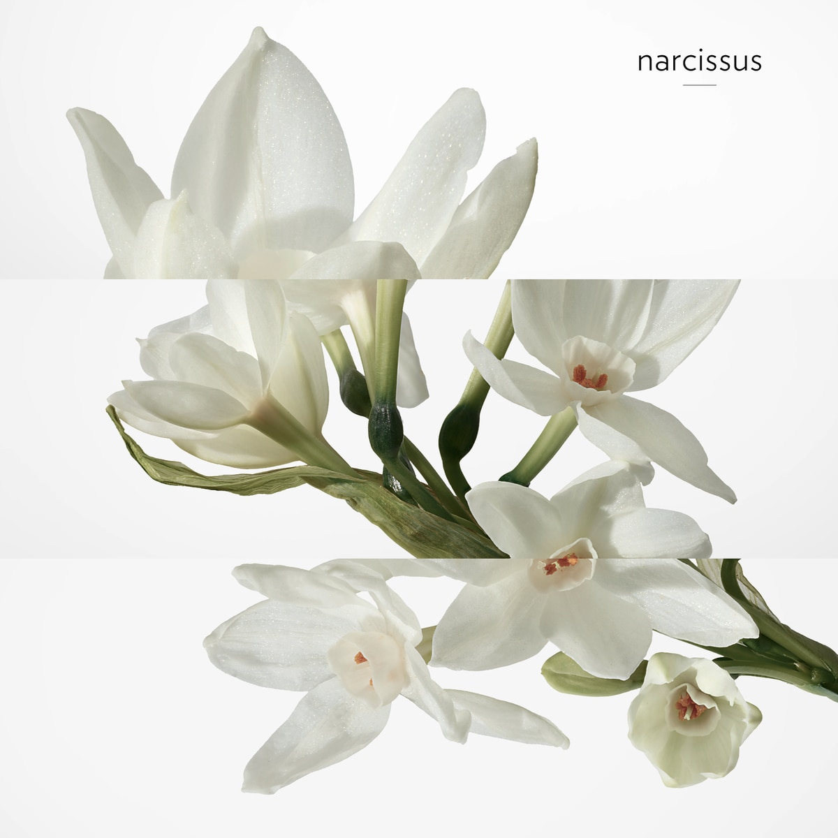 H24 Eau de Toilette 6