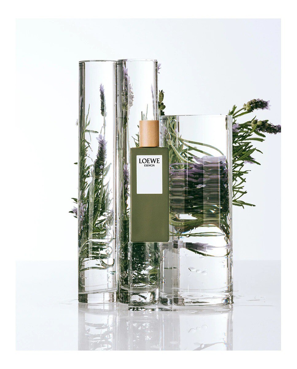 ESENCIA Eau de Toilette - 50 ml 4