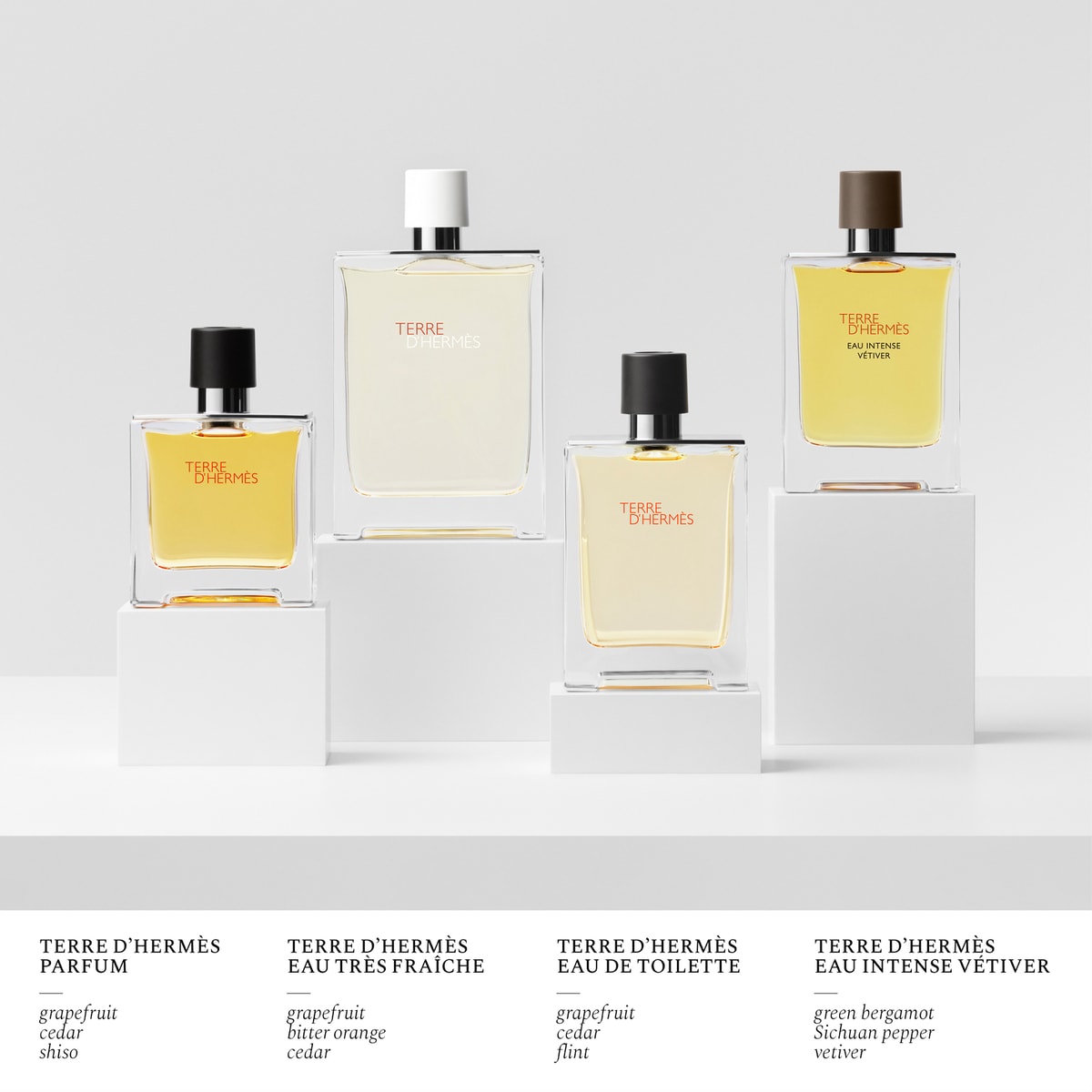 Terre d'Hermès Eau de Toilette 8