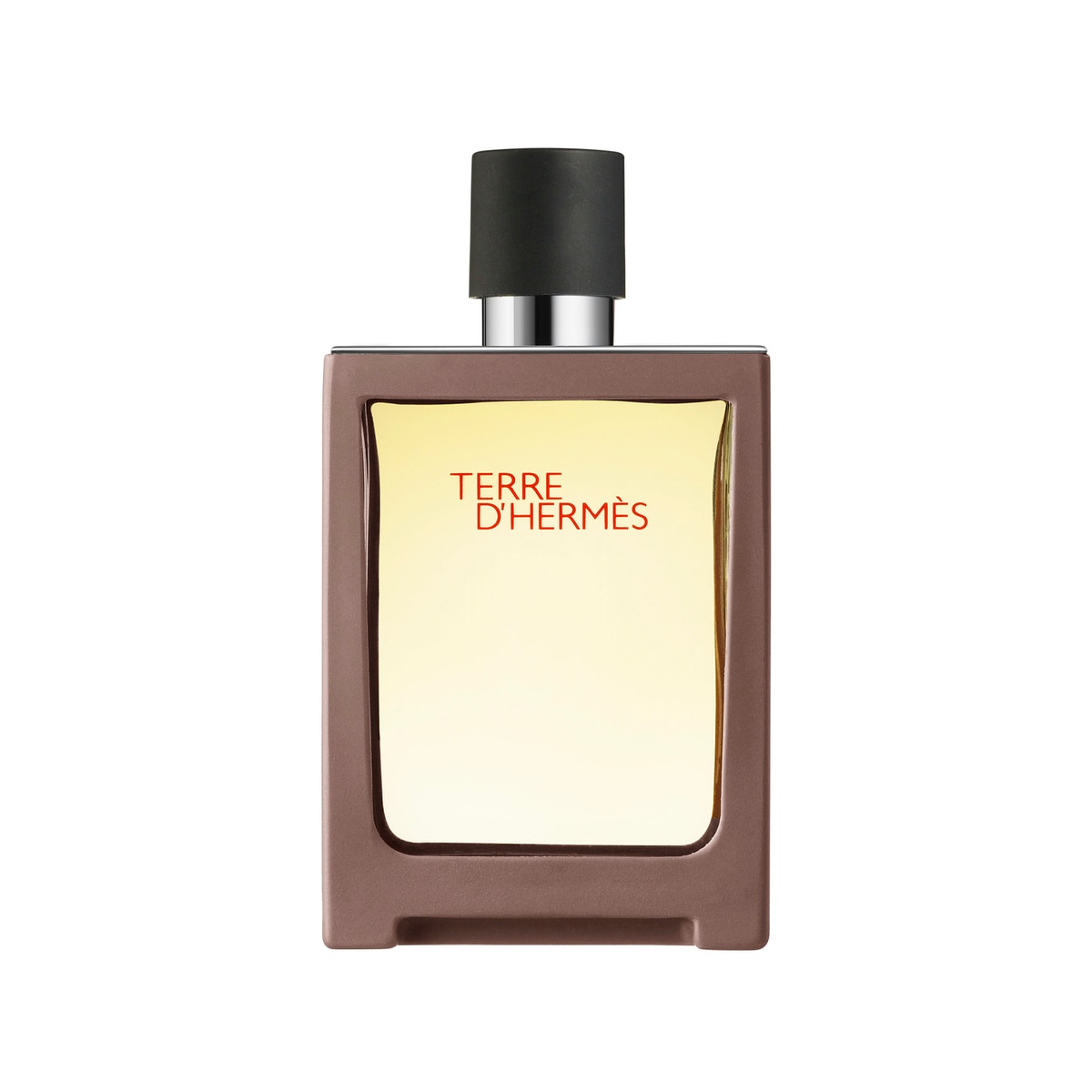 Imagem 0 de Terre d'Hermès Eau de Parfum