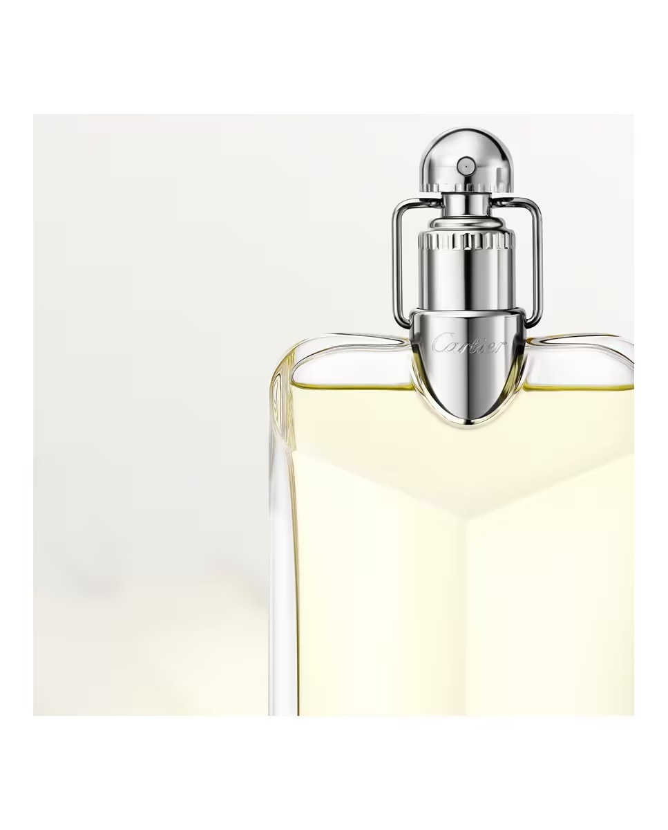 Déclaration Eau de Toilette 3