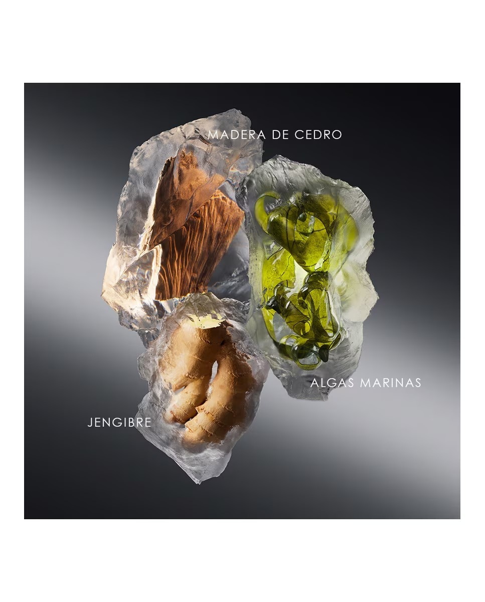 Recarga Le Sel D'Issey 2