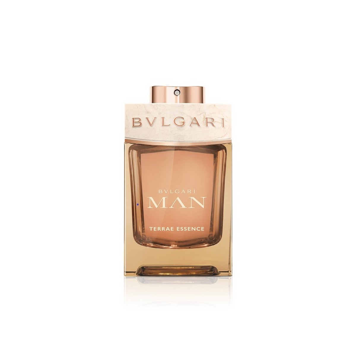 Man Terrae Essence Eau de Parfum 100ml Bvlgari 1