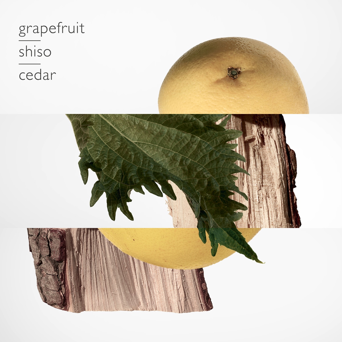 Recarga Terre d'Hermès Perfume - 125 ml 2