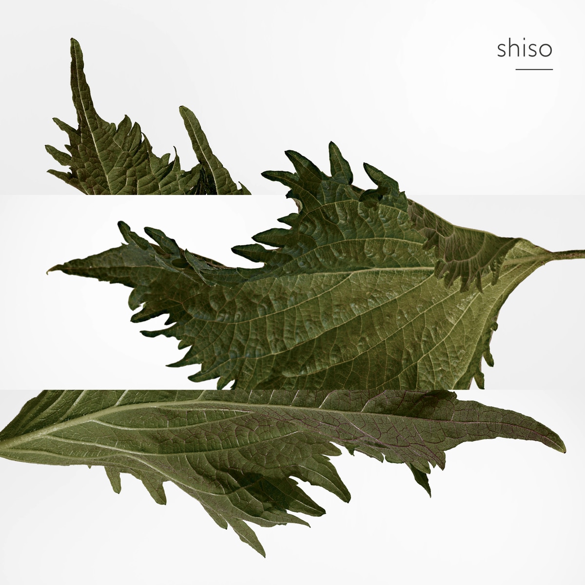 Recarga Terre d'Hermès Perfume - 125 ml 5