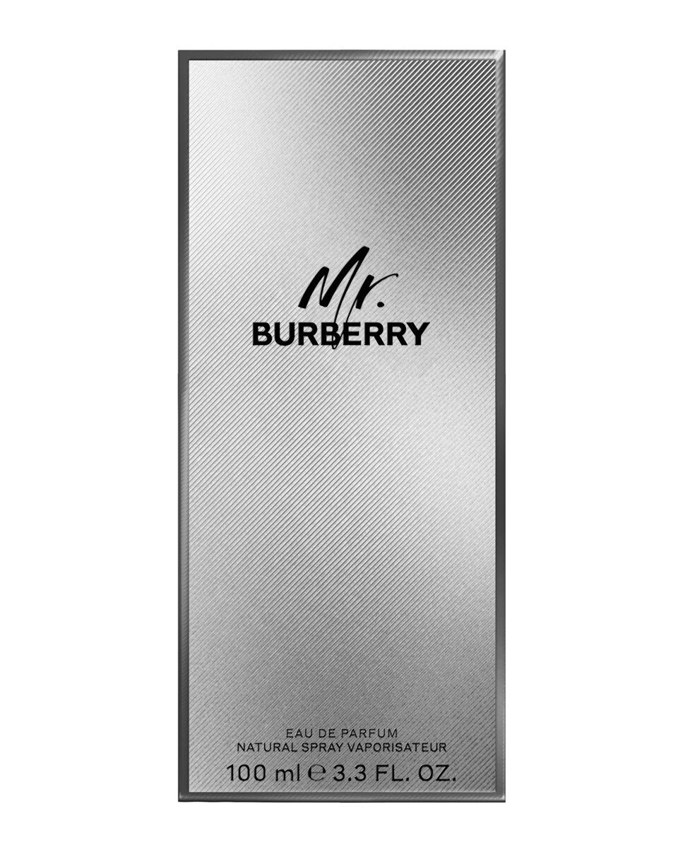 Mr. Burberry Eau de Parfum - 100 ml 3