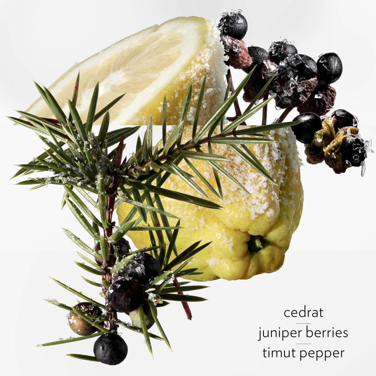 Terre d'Hermès Eau Givrée Eau de Parfum 5