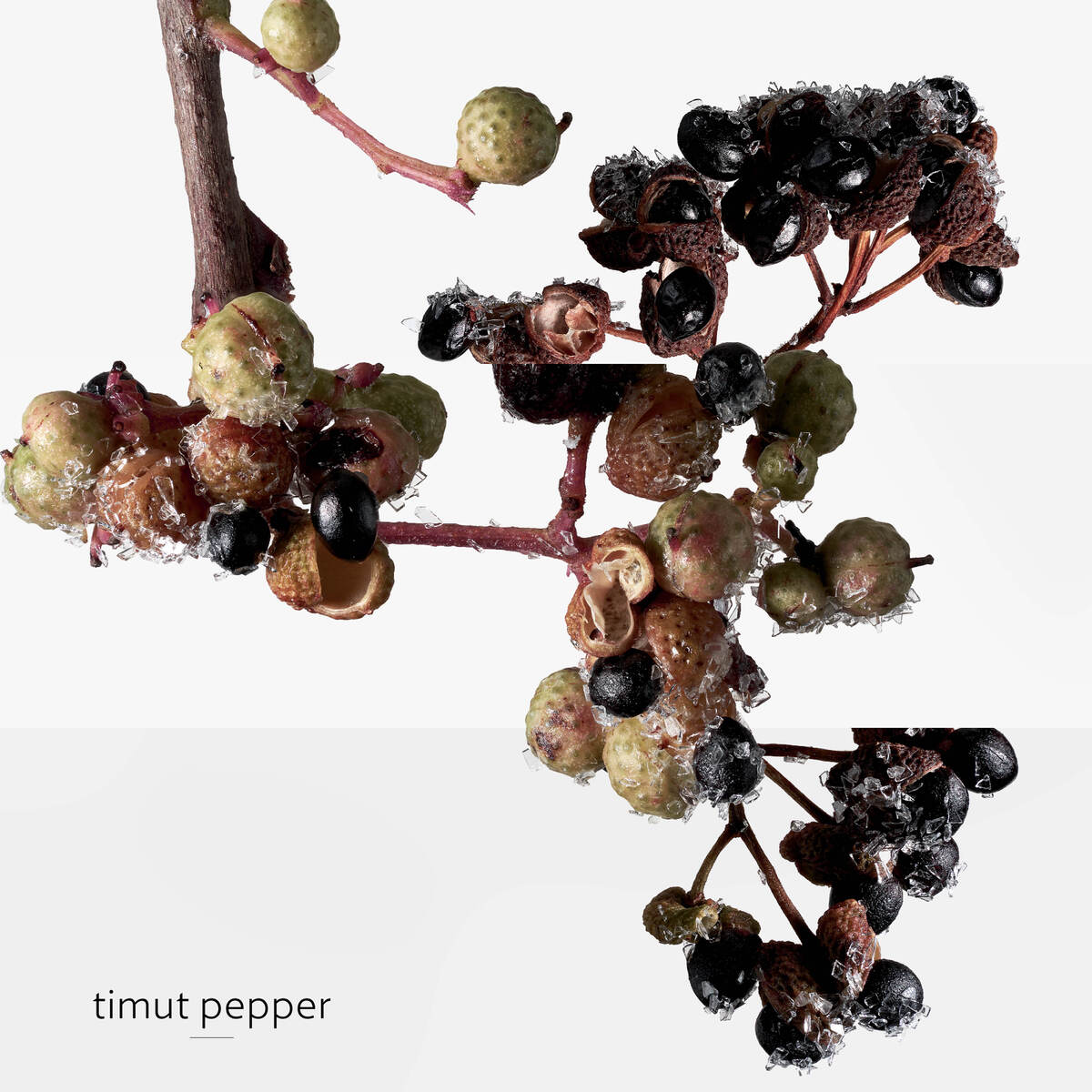 Terre d'Hermès Eau Givrée Eau de Parfum 8