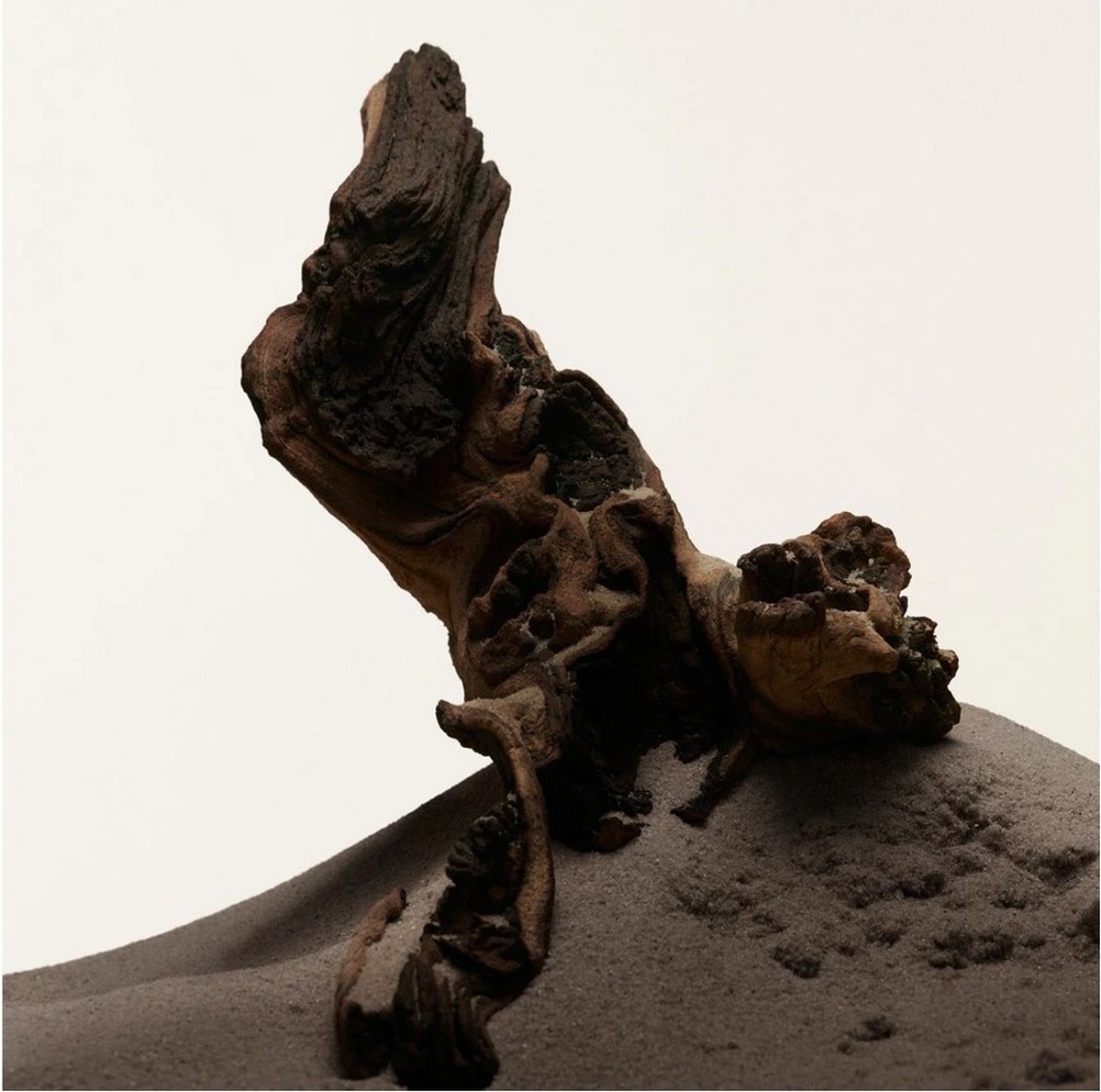 Hero Eau de Parfum - 50 ml 7