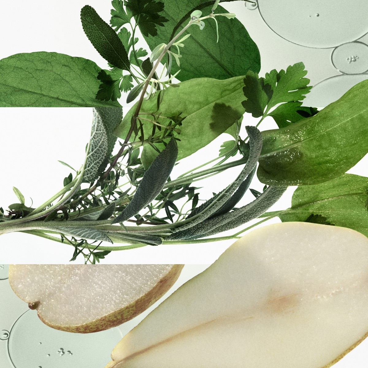 H24 Herbes Vives Eau de Parfum 4