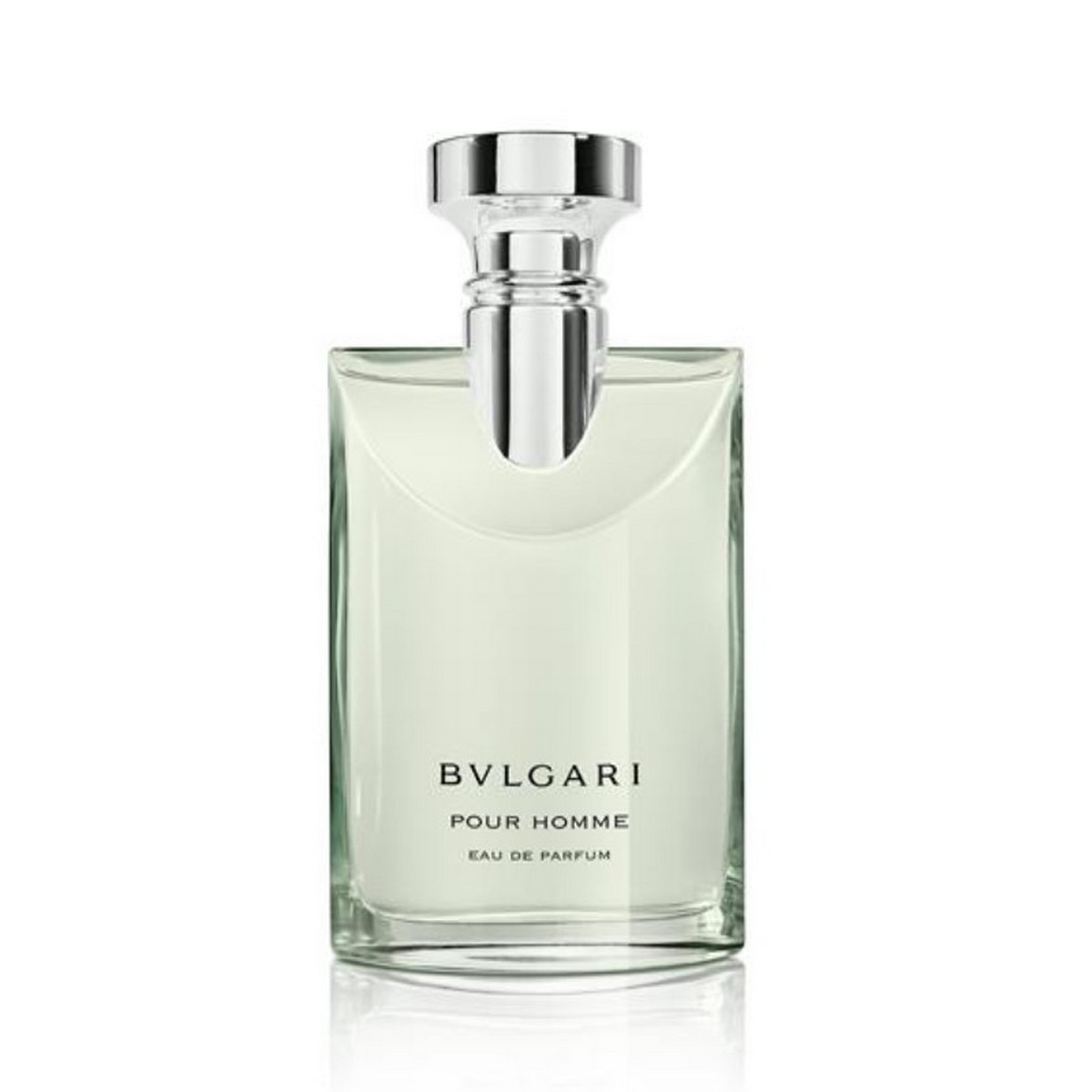 Imagem 0 de Pour Homme Eau de Parfum - 100 ml