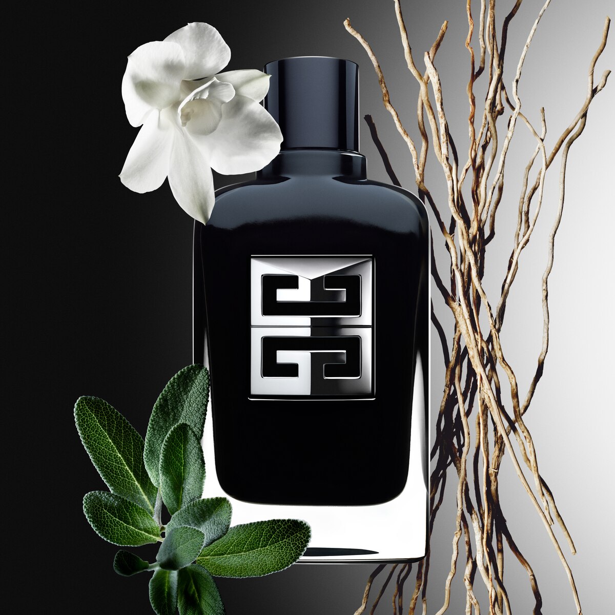 Gentleman Society Big Size Eau de Parfum - 200 ml 3