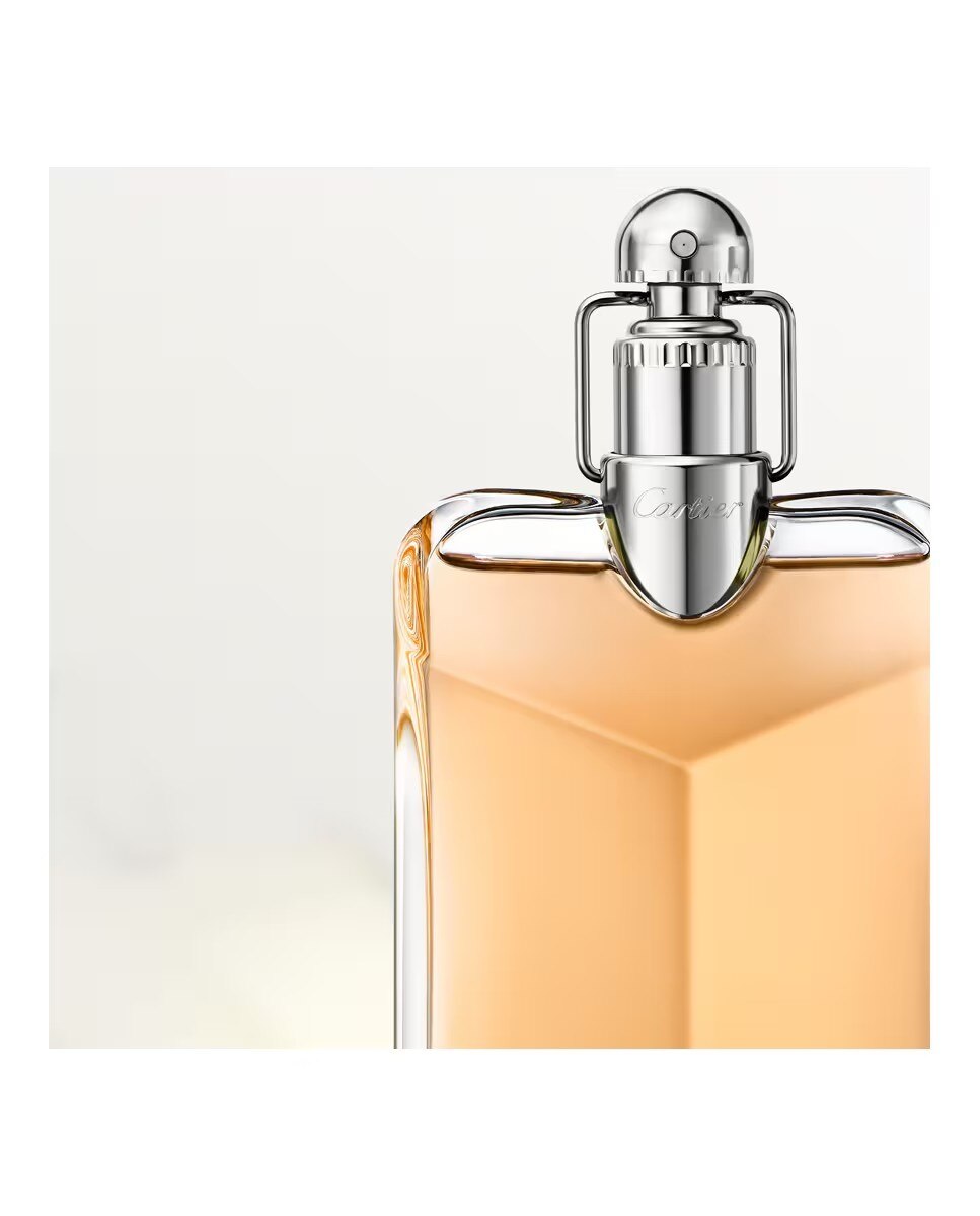 Déclaration Eau de Parfum 3