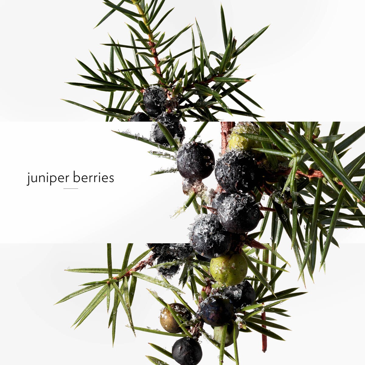 Desodorizante Vaporizador Terre d'Hermès - 150 ml 4