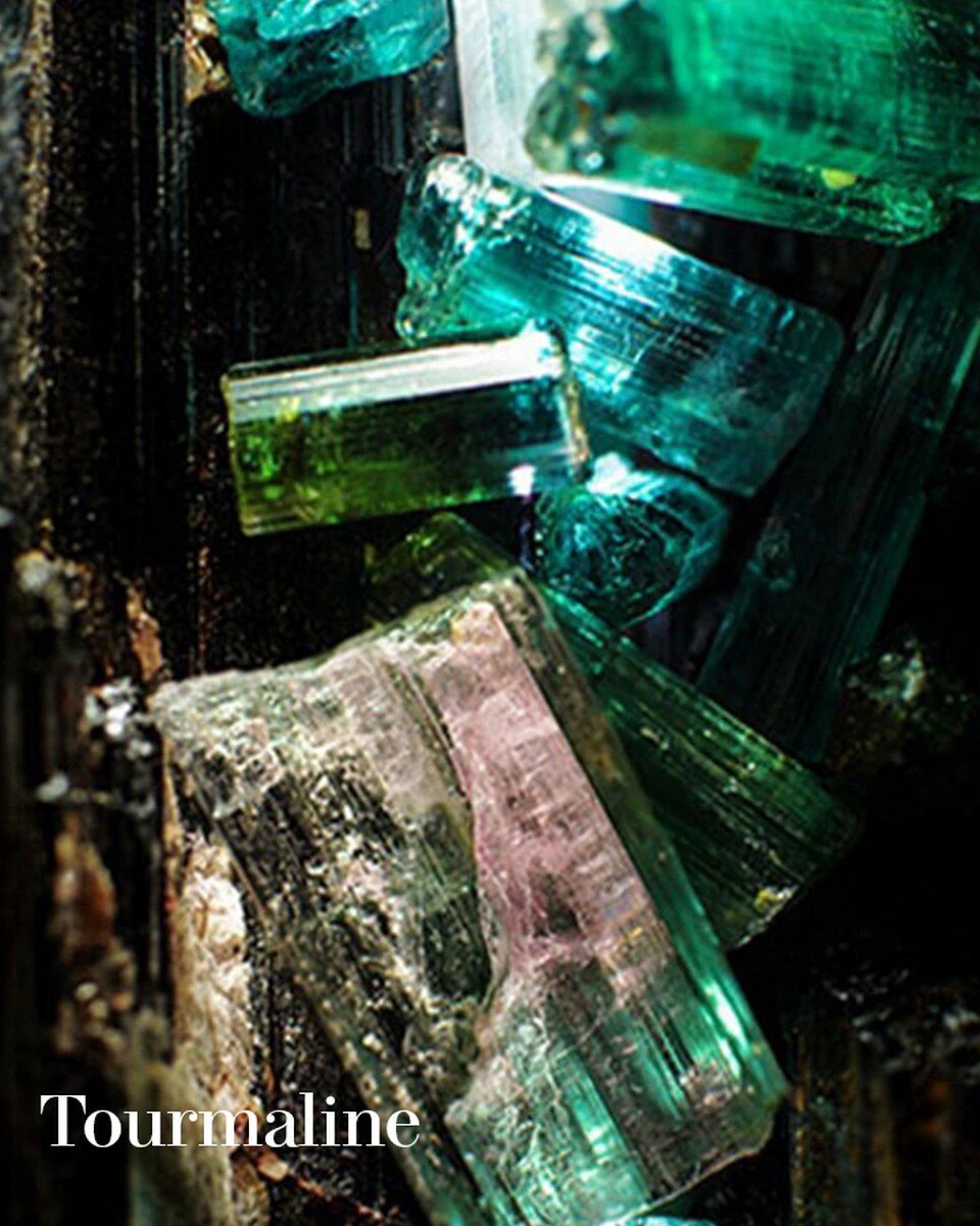 The Calming Lotion Cleanser - 200 ml 5