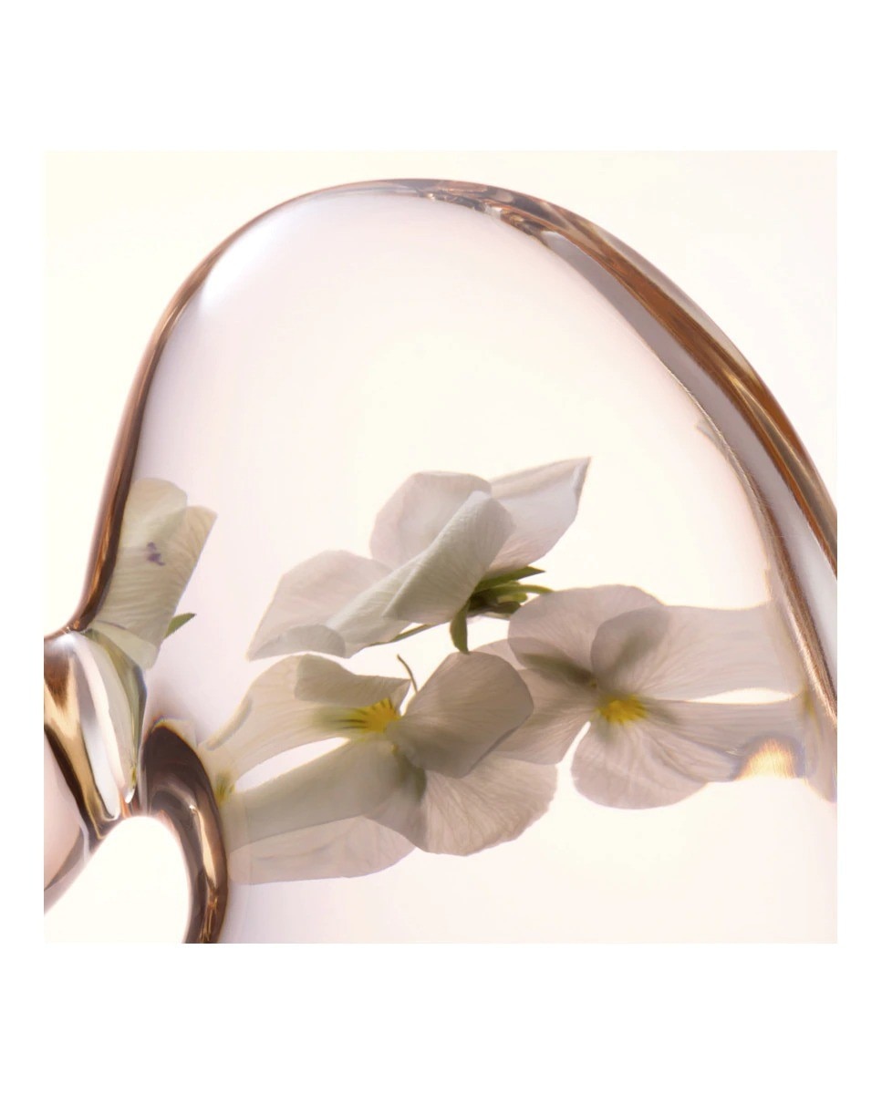 Tónico Softening Perfecting - 400 ml 4