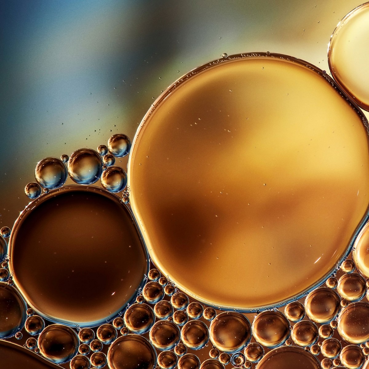 The Essential Tonic - 200 ml 4