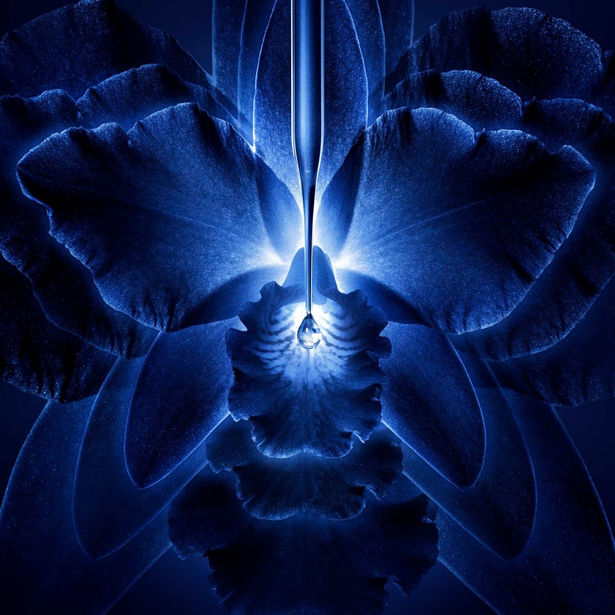 Creme Rico Orchidée Impériale - 50 ml 7