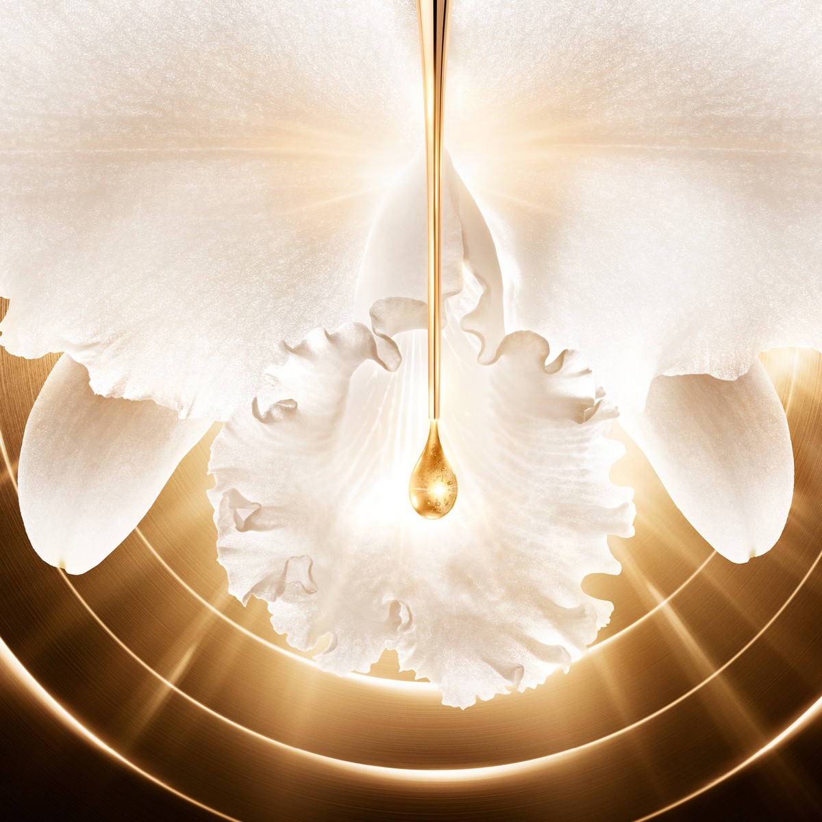 Creme Orchidée Impériale Gold Nobile - 50 ml 7