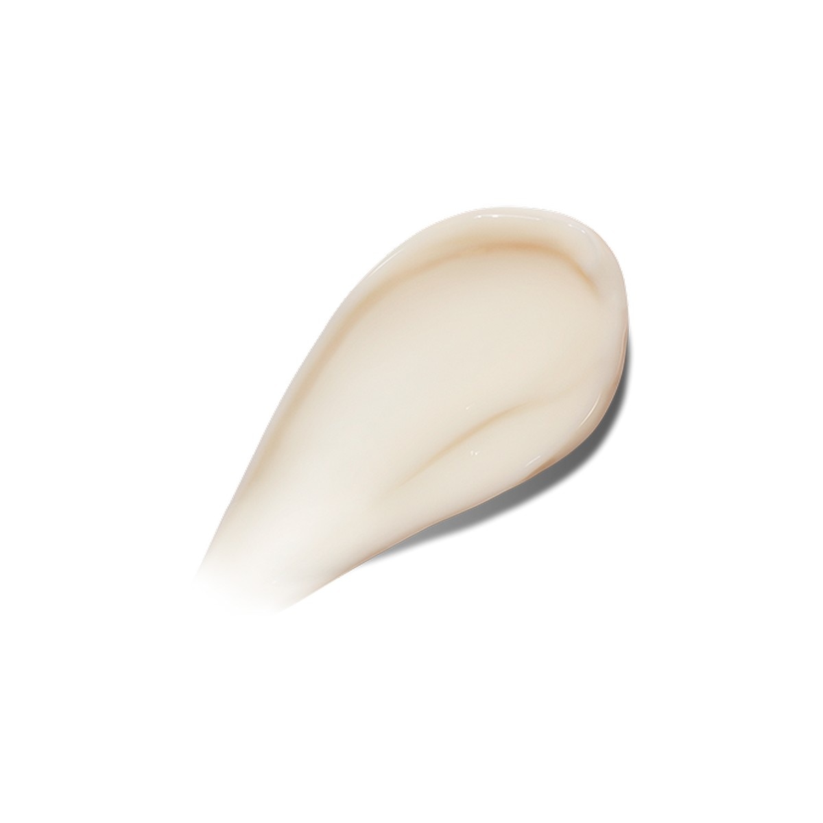 The Moisturizing Fresh Cream 2