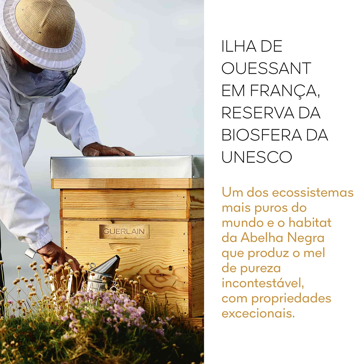 Hidratante de Juventude Bee Glow - 30 ml 3