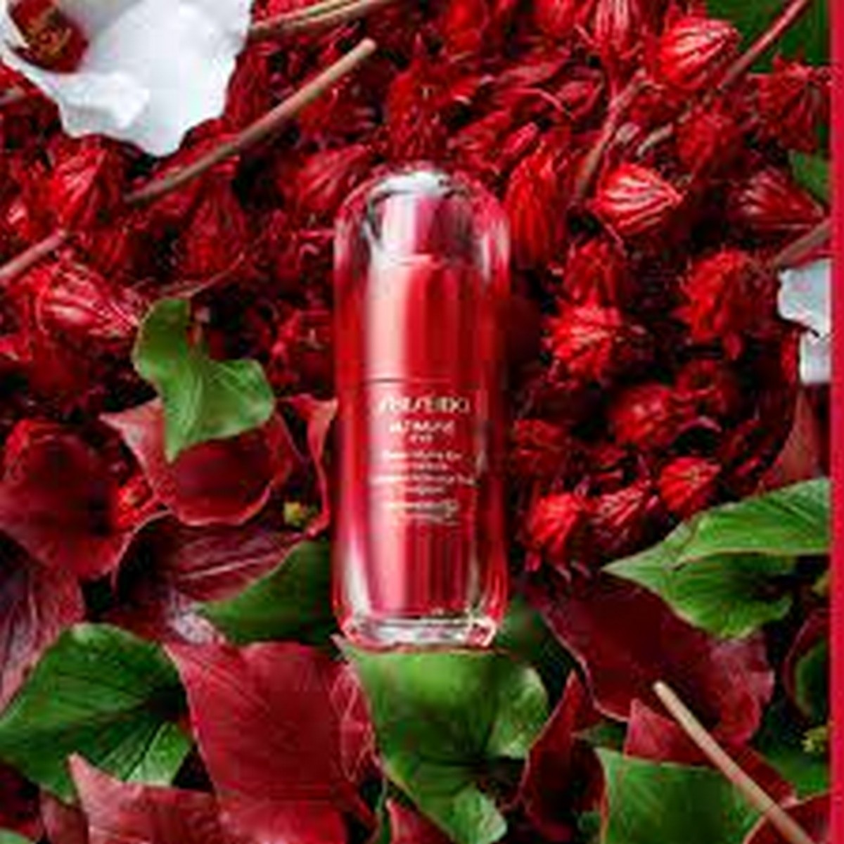 Concentrado de Olhos Ultimune Eye Power Infusing - 15 ml 5
