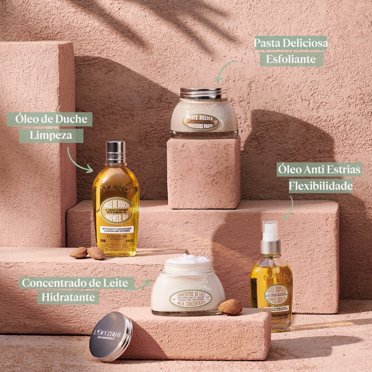 Concentrado de Leite com Amêndoas da Provença 6