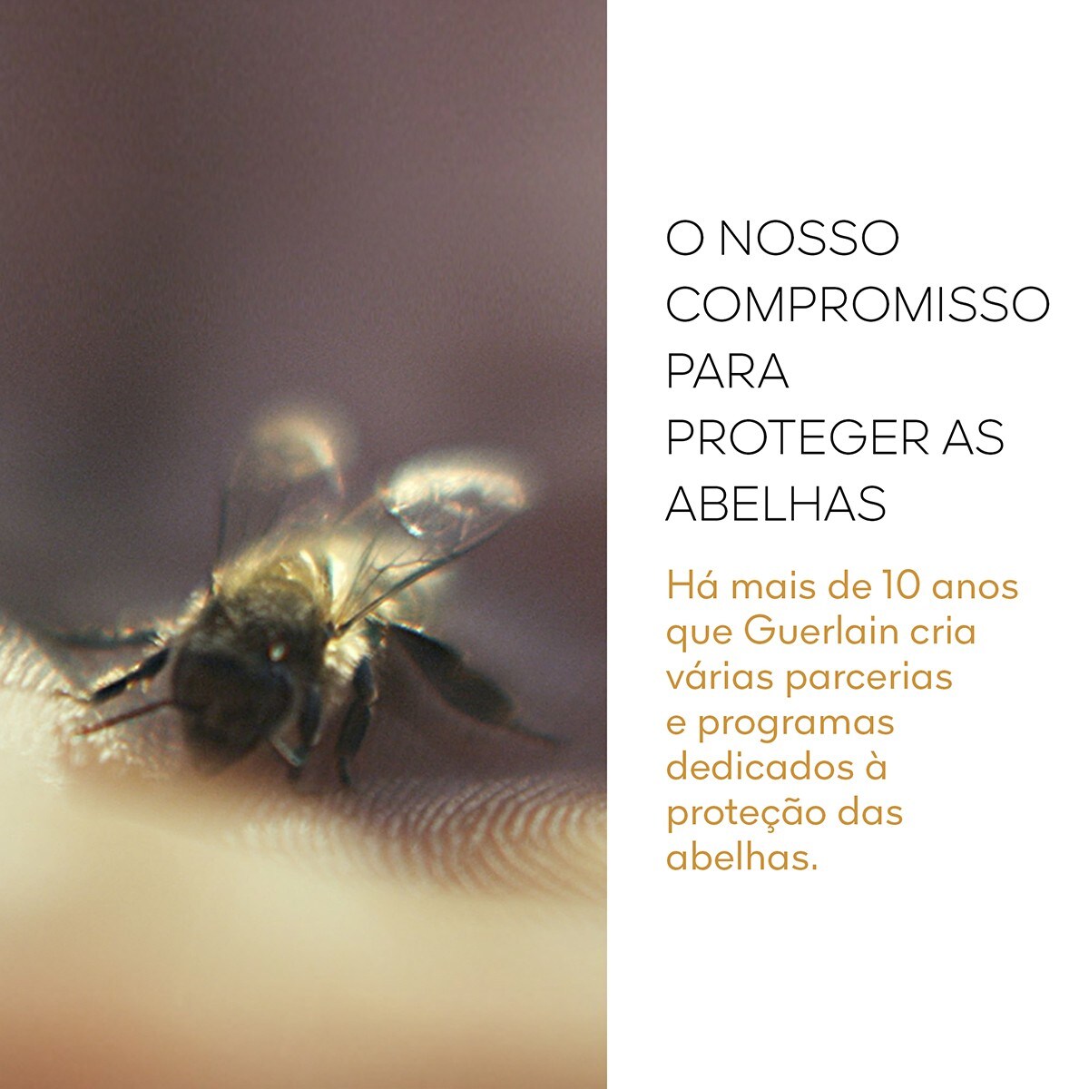 Bálsamo Reparador de Mãos Abeille Royale - 40 ml 9