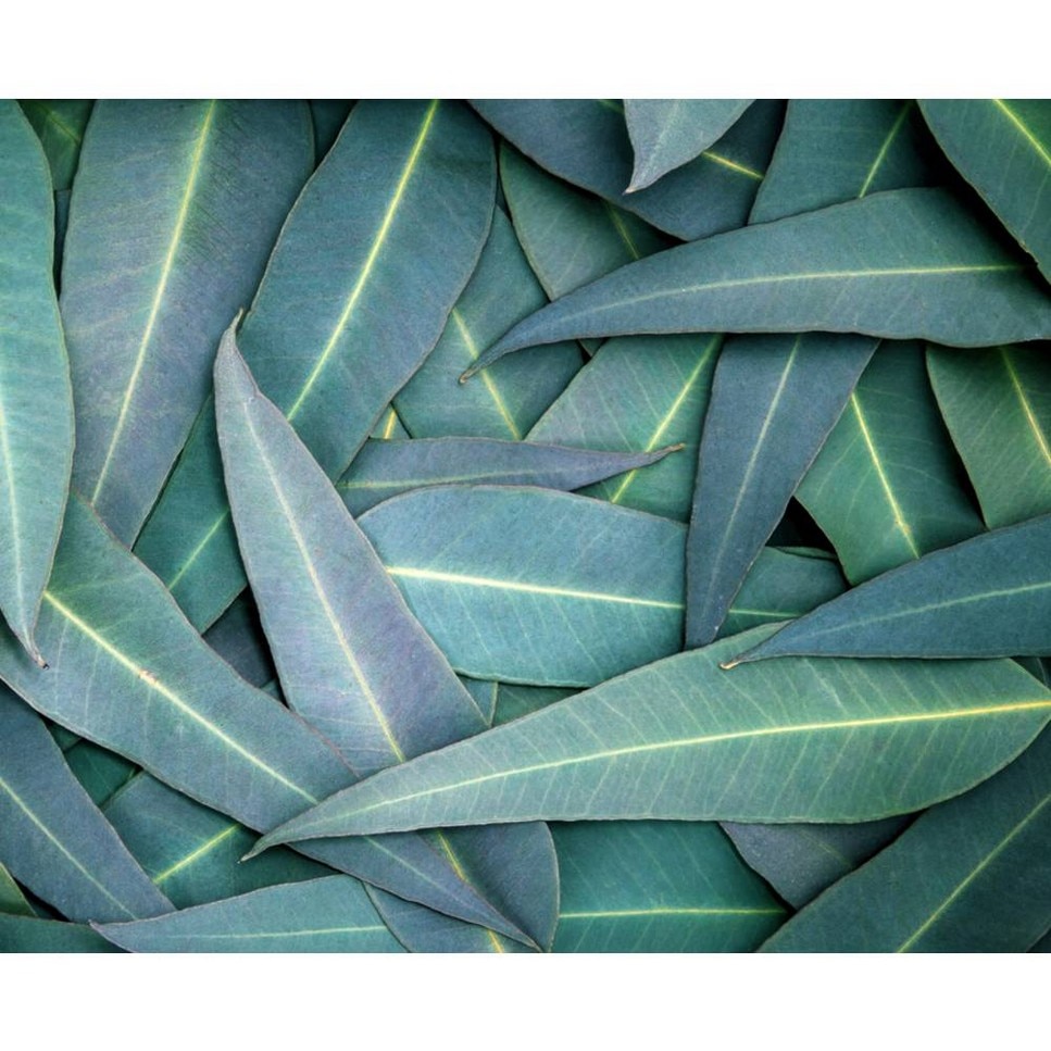 Ultimate Strength Hand Salve 5