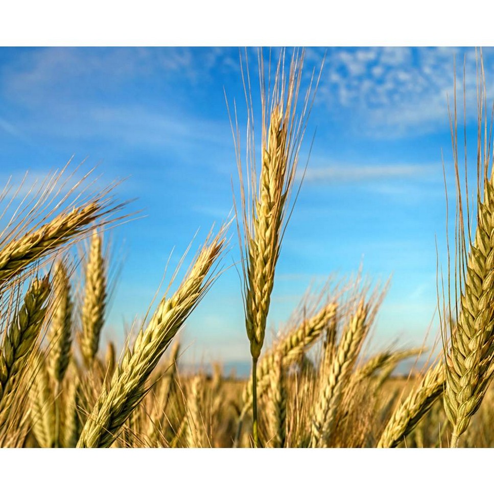 Age Defender Eye Repair - 14 ml 6